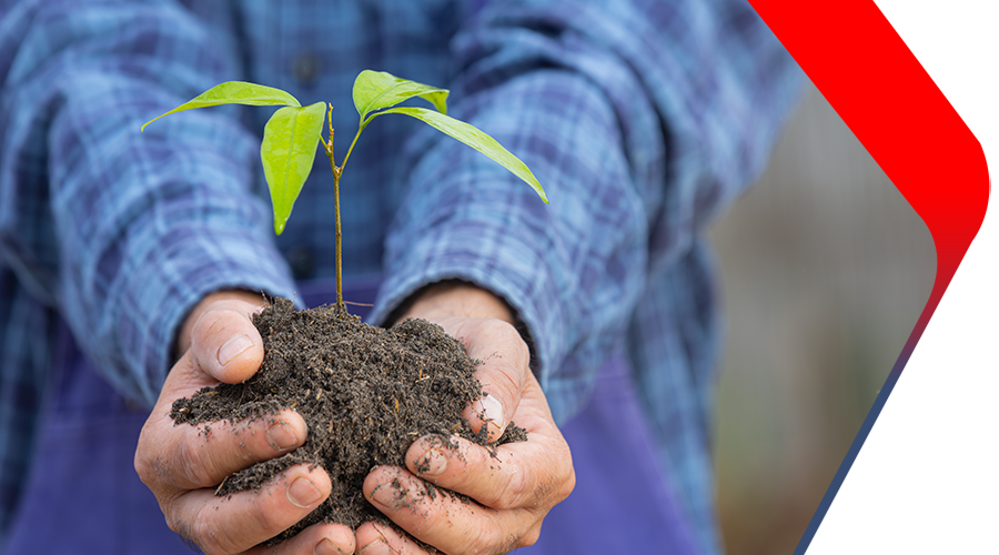 Drive Innovation with Indev Foundation